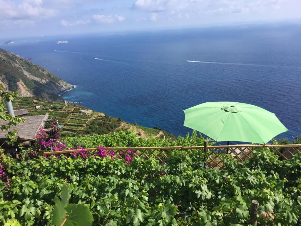 Refuge Uwabio Organic Vineyard Cinqueterre Villa Riomaggiore Exterior foto