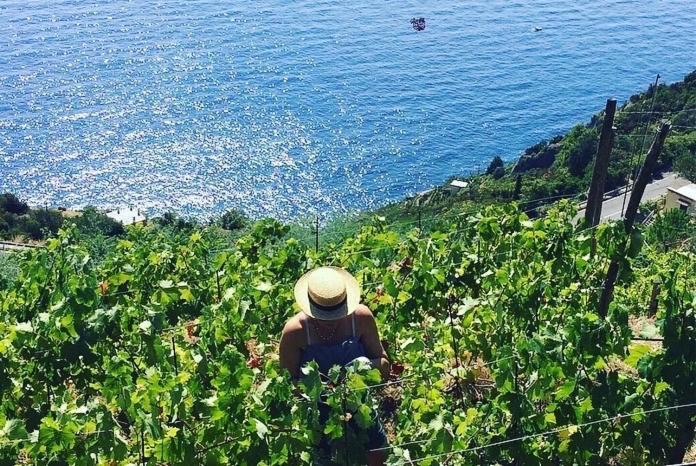 Refuge Uwabio Organic Vineyard Cinqueterre Villa Riomaggiore Exterior foto