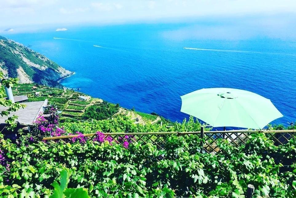 Refuge Uwabio Organic Vineyard Cinqueterre Villa Riomaggiore Exterior foto